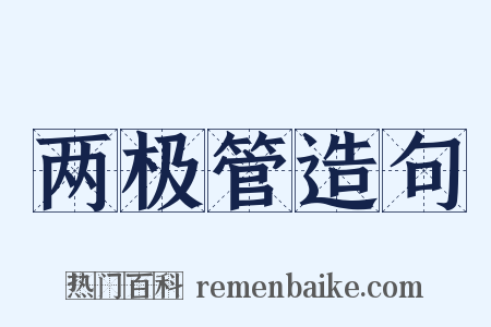 两极管造句是什么意思的图片
